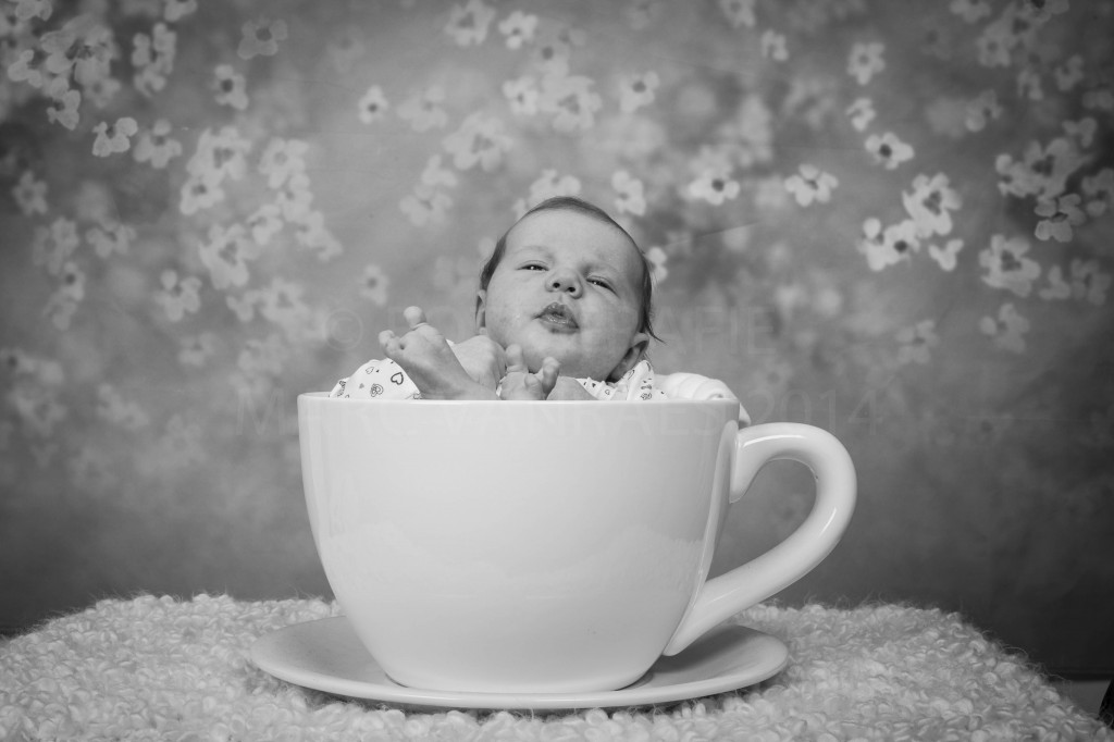 laat ons die unieke zawngerschaps- en babyfoto's maken. Bel me voor meer info. 0475/31.74.12